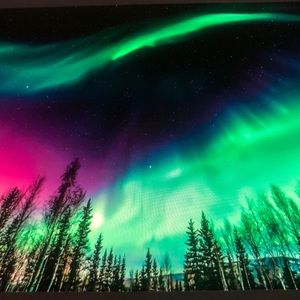 Meet your Posher, Aisha